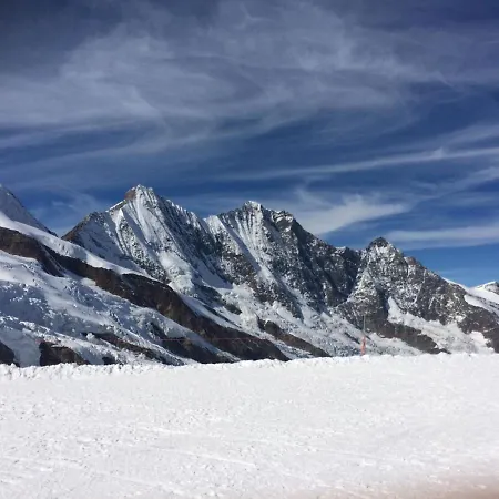 公寓 Alpenstern Trift By Interhome 萨斯格伦德