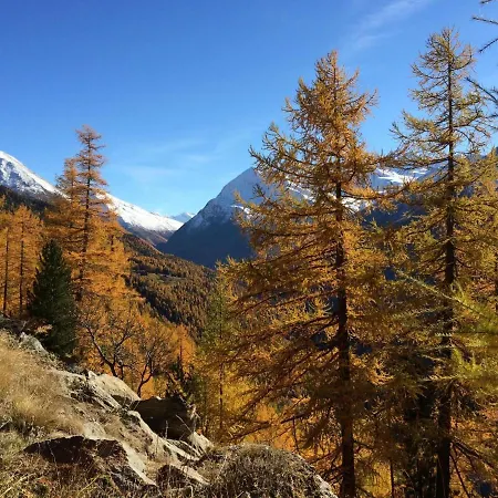 公寓 Alpenstern Trift By Interhome *
